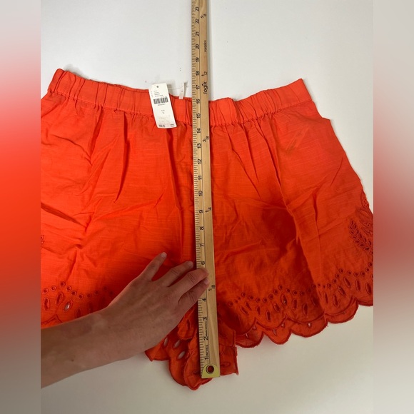 NWT Anthropologie Eyelet Cover-Up Shorts 100% Cotton Sz Large - Picture 9 of 12